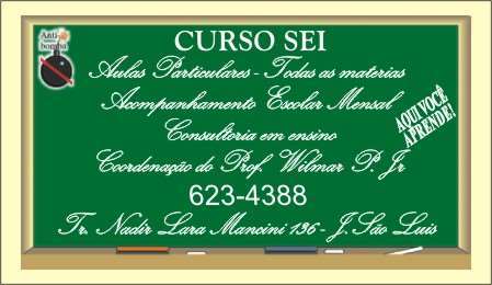 "CURSO SEI"